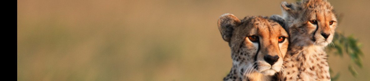 7-Day Wildlife Adventure & Outdoors Activities Mid-Range