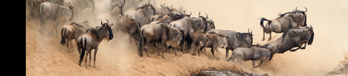 10-Day Best of Kenya and Tanzania Classic Safari