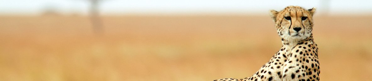 5-Day Masai Mara-Naivasha-Amboseli -Mombasa Safari Tour