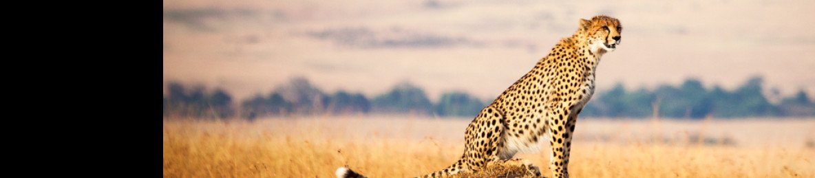 3-Day Mashariki Safari