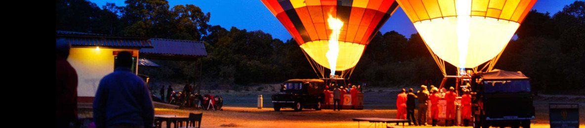 11-Day Safari Experience with a Beach Extension