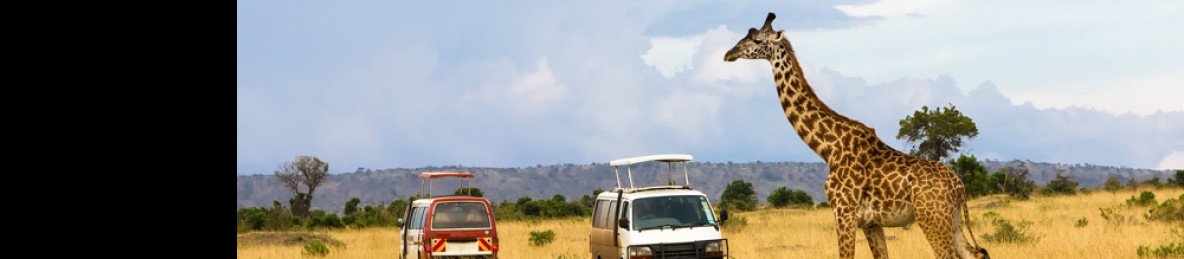 3-Day Masai Mara Fly-in Safari from Coast