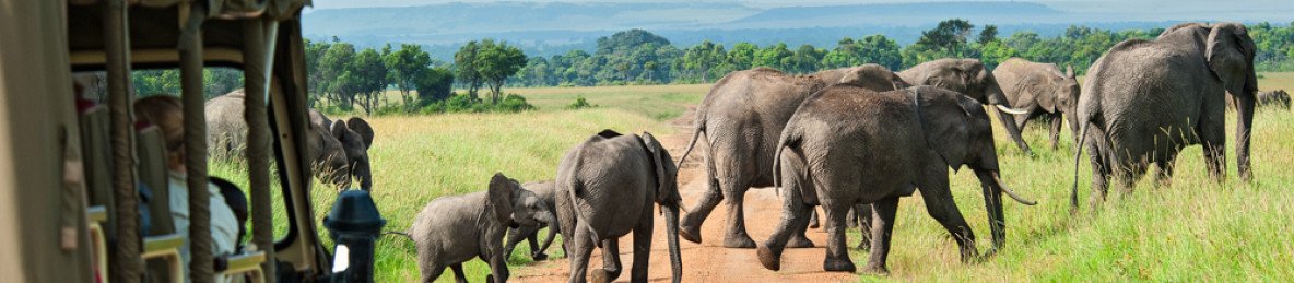 1-Day Tsavo East from Diani
