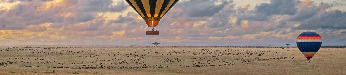 5-Day Masai Mara, Lake Nakuru & Amboseli Safari