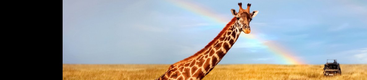 7-Day Ultimate Adventure Safari Amboseli to Masai Mara