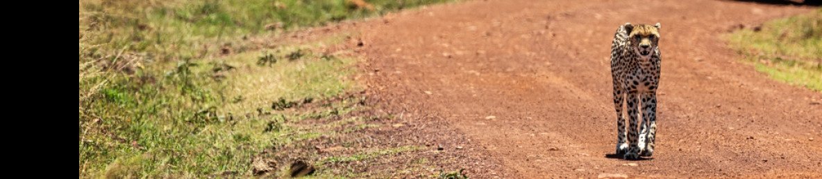 3-Day Masai Mara Exclusive Luxury Safari