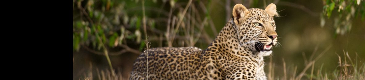 12-Day Kenya & Tanzania Stunning Budget Group Joining