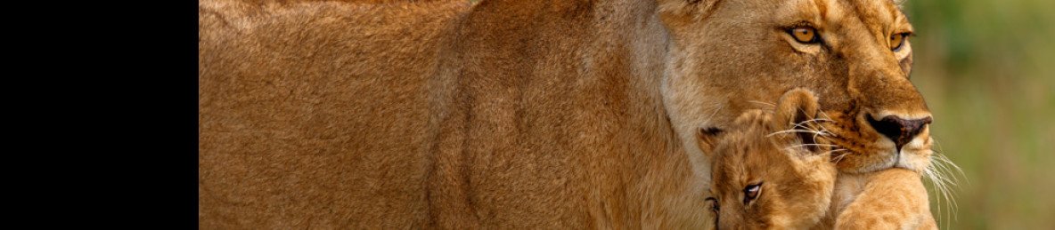 3-Day Ngutuni & Ziwani Sanctuary Adventure