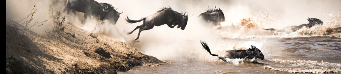 4-Day Kenya Luxe Safari - 4x4 Land Cruiser