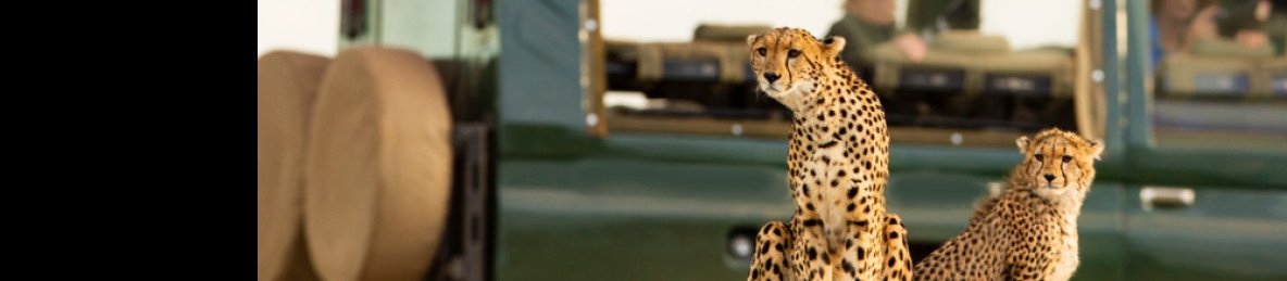 3-Day Tsavo East and Lumo/Taita Hills Safari with a Jeep