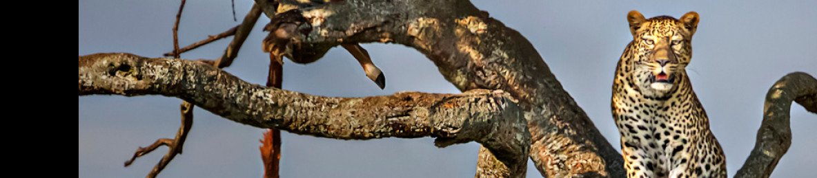7-Day Amboseli, Naivasha, Nakuru & Mara Mid-Range Tour
