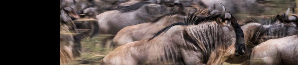 3-Day Masai Mara National Reserve Explorer