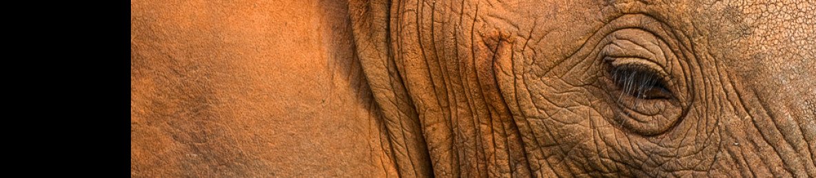 3-Day Into the Wilderness Meru National Park