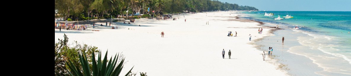 7-Day Wildlife and Beach Safari