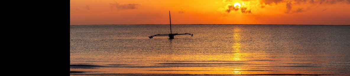 8-Day Wildlife Adventure & Beach Relaxation