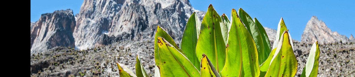 3-Day Mt Kenya Sirimon Route – One Way