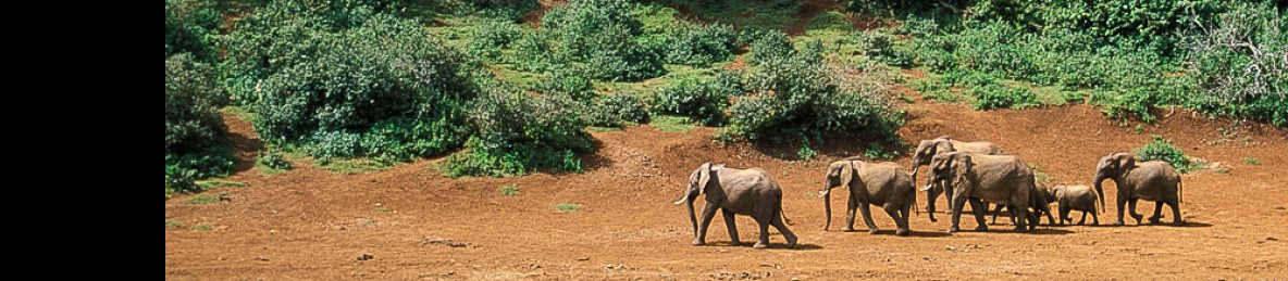 3-Day Maasai Mara Safari