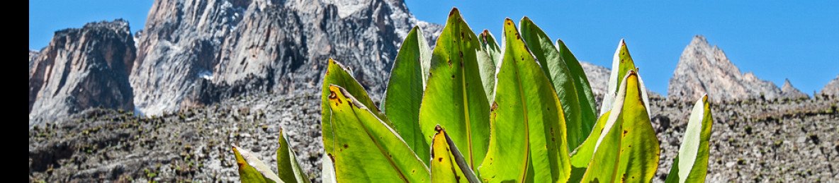 5-Day Mt Kenya Summiting via Scenic Alpine Lakes
