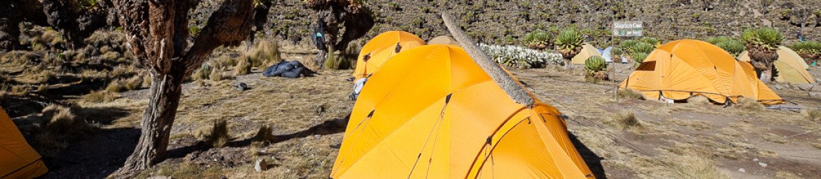 8-Day Scenic Kenya Safari-from Mountains to Mara