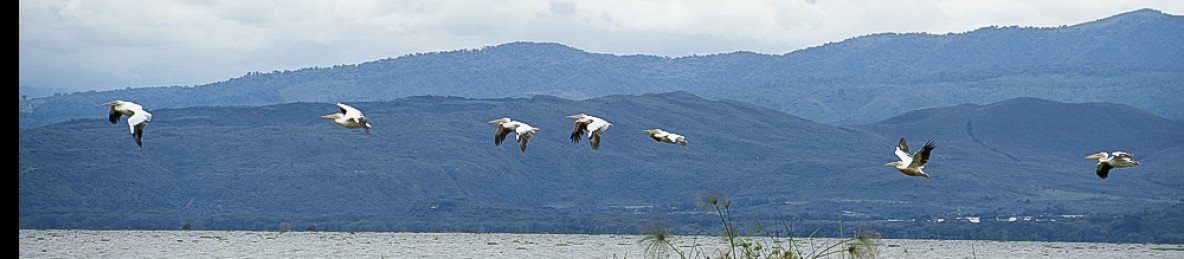 5-Day Fascinating Luxury Safari
