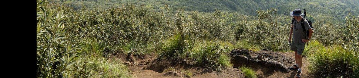 6-Day Laikipia Experience; Lewa & Loisaba Conservancy