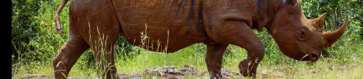 6-Day Majestic Kenya