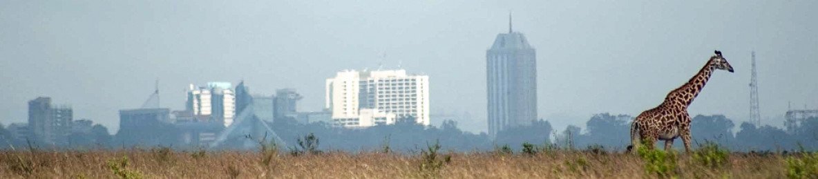 3-Day Nairobi City Safari Tour (Nairobi Explorer)