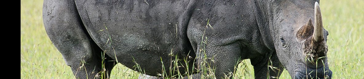 3-Day Masai Mara National Reserve Luxury Adventure