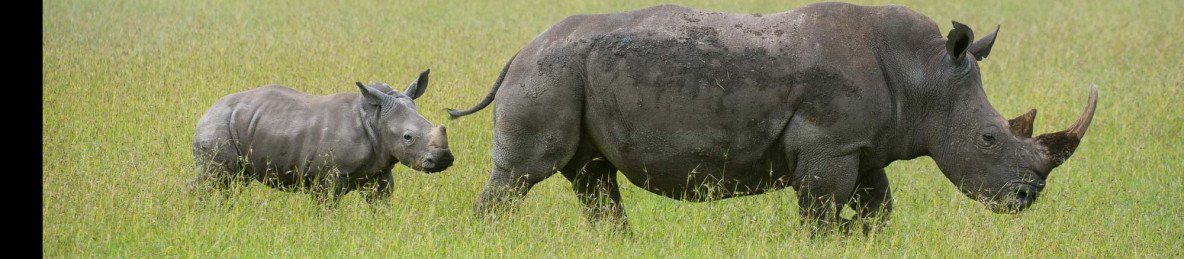 3-Day Masai Mara Group Camping Safari