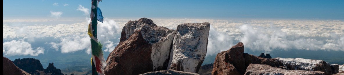 8-Day Absolute Wildlife and Beach Experience