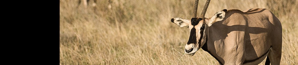 4-Day Northern Kenya Midrange Safari