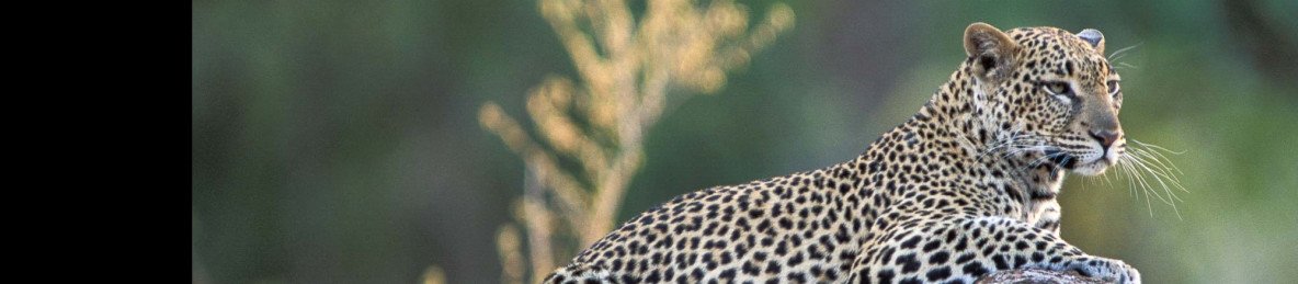 6-Day Northern Gems Luxury Safari