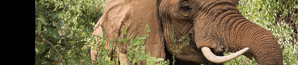 7-Day Unforgettable Adventure