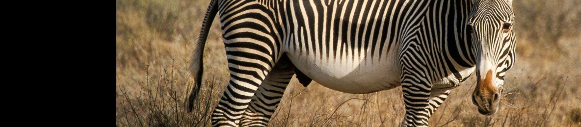 7-Day Classic Kenya Safari & Northern Frontier