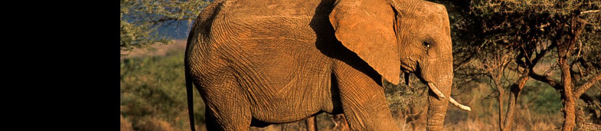 4-Day Taita Hills, Tsavo West and Amboseli Safari
