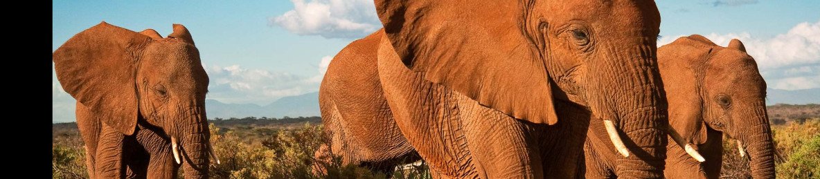 3-Day Amboseli Group Joining Safari 4x4 Jeep 2026- 2028