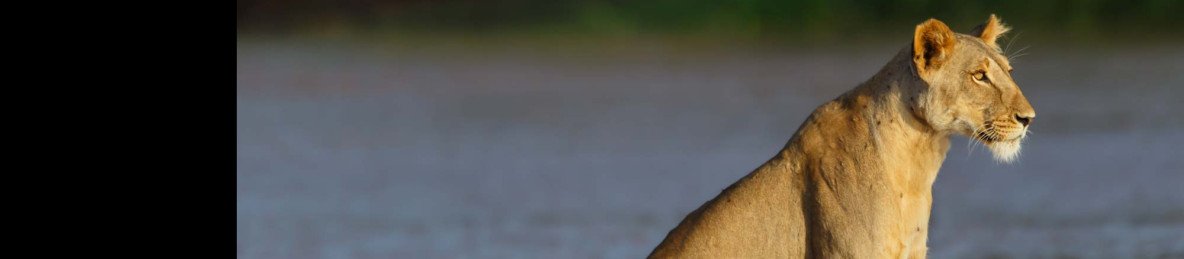 3-Day Samburu Northern Adventure