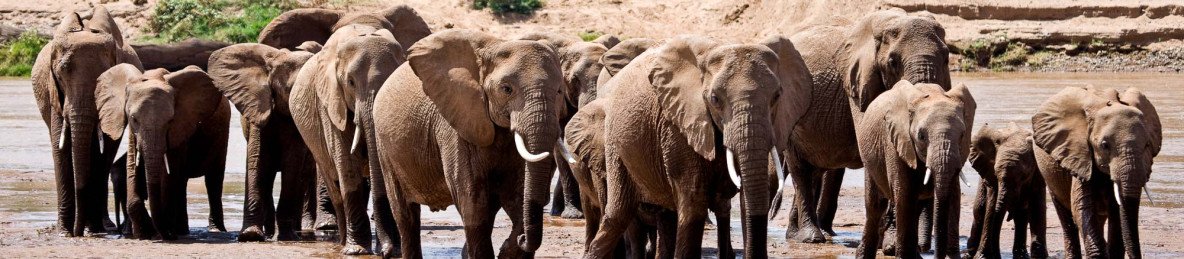 4-Day Maasai Mara to Samburu NP Globetrotter Safari