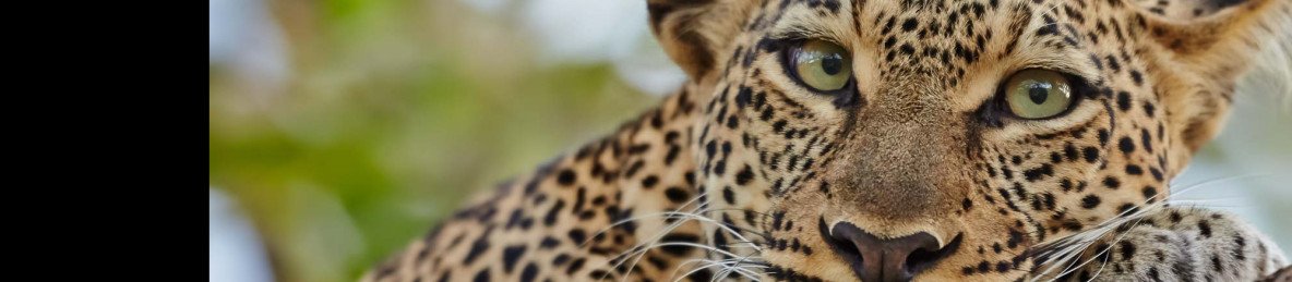 3-Day Wild Escape; Samburu Fly in Safari