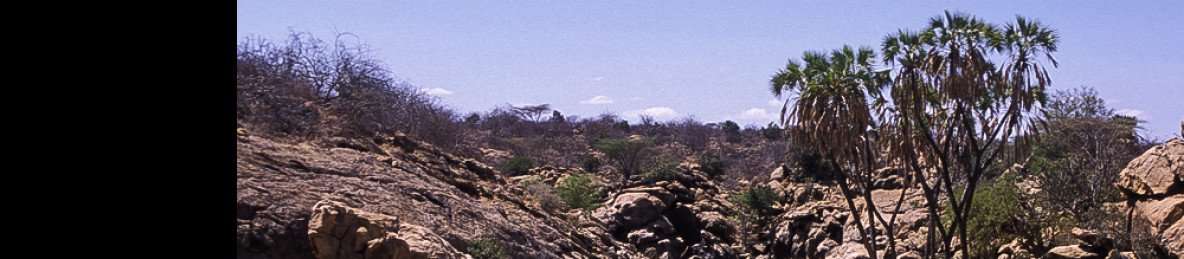 7-Day Kenyan Classic Safari- the Great Rift Valley Lakes