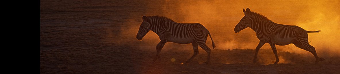 7-Day Magical Safari