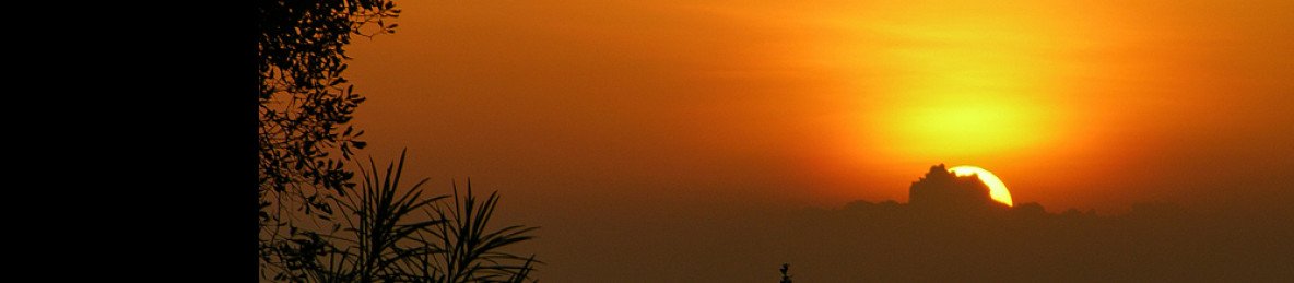 7-Day Dive into Kenya Untouched Wilderness Safari
