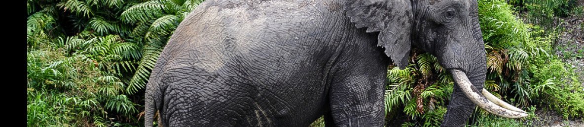 3-Day Luxury Safari Escapade in Amboseli