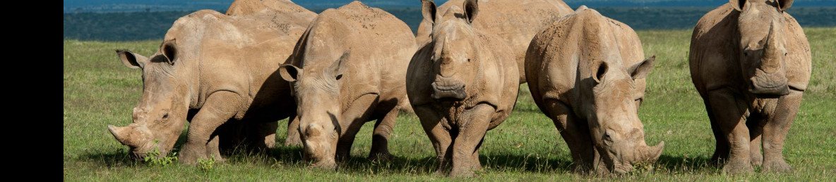 11-Day Kenya & Tanzania Comb Safari