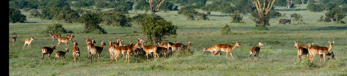 8-Day Memorable Kenya Wild Heart Discovery