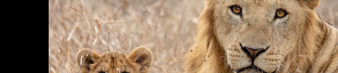 5-Day Kenya Wild Trails Safari