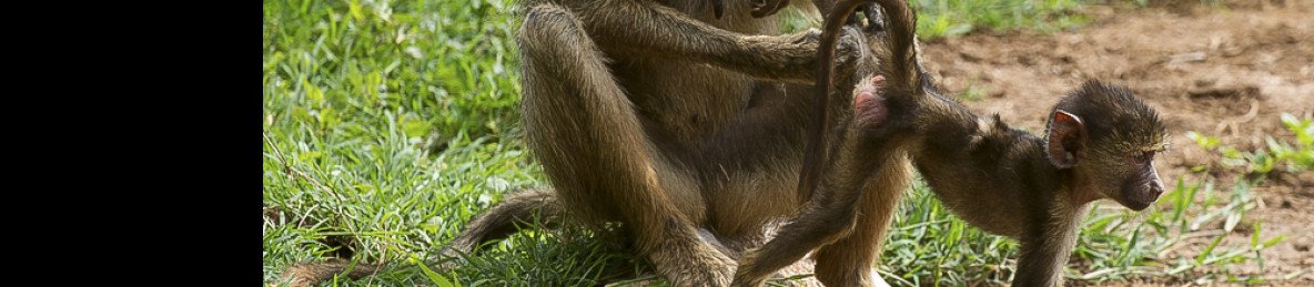 5-Day Private Safari Best for Couples