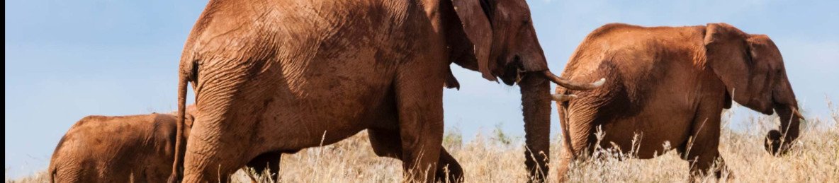 3-Day Tsavo East and Taita Hills Safari from Coast