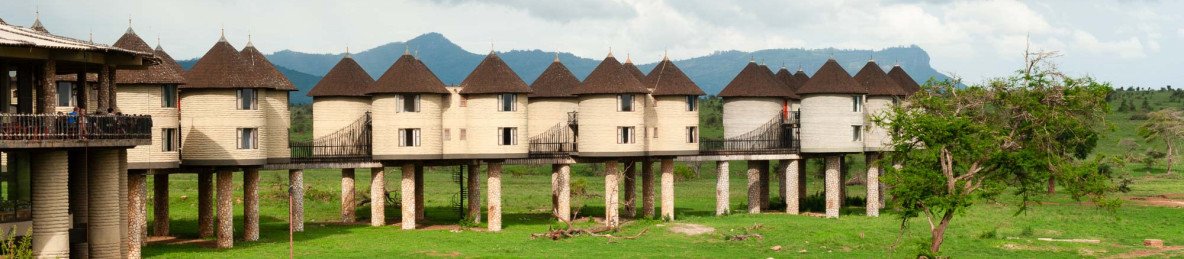 2-Day Tsavo East and Saltlick Safari from Mombasa by Van