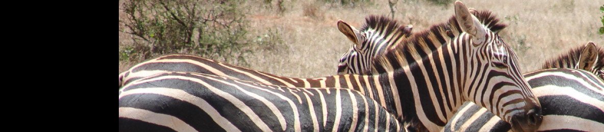 4-Day Tsavo Amboseli Taita Hills Safari from Mombasa